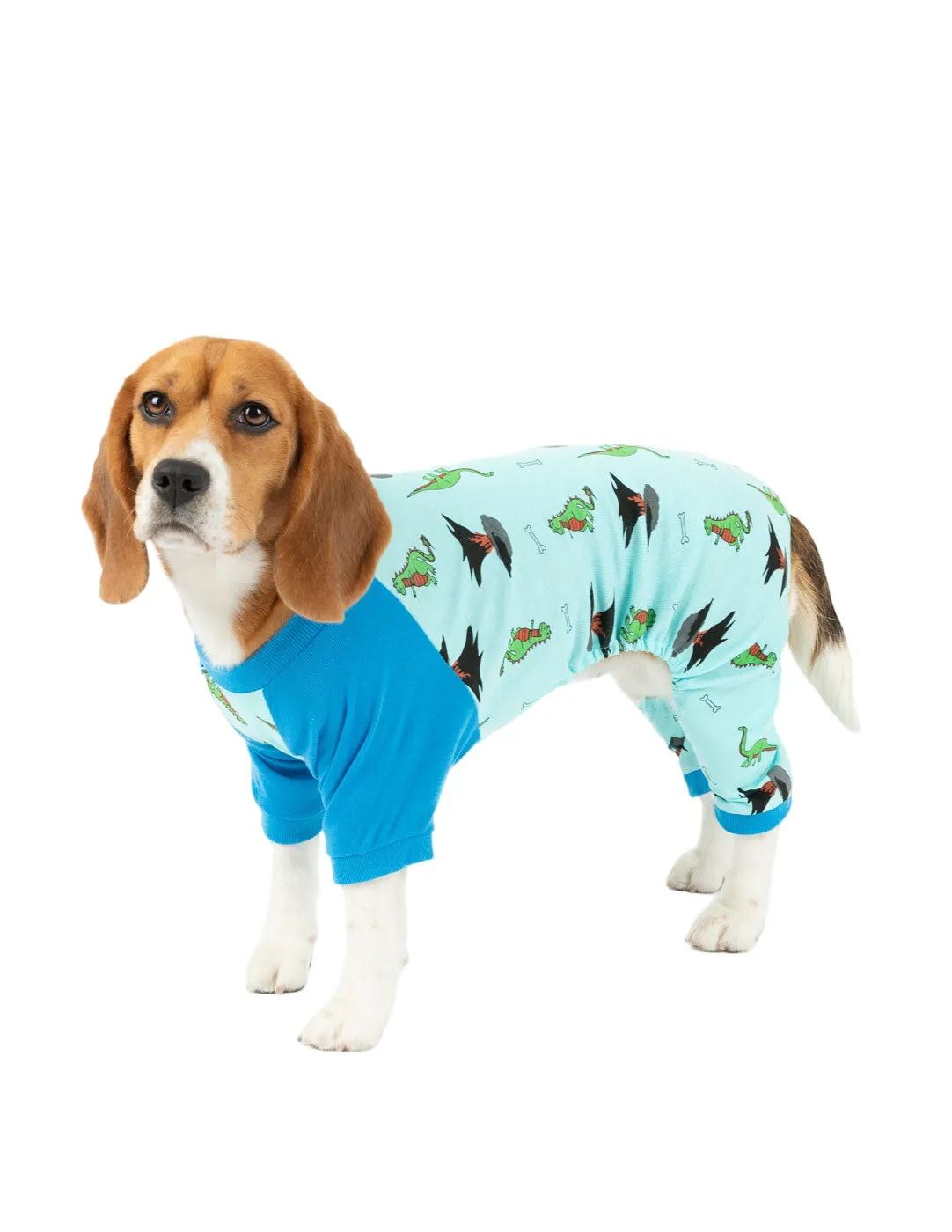 Dog Blue Dinosaur Pajamas