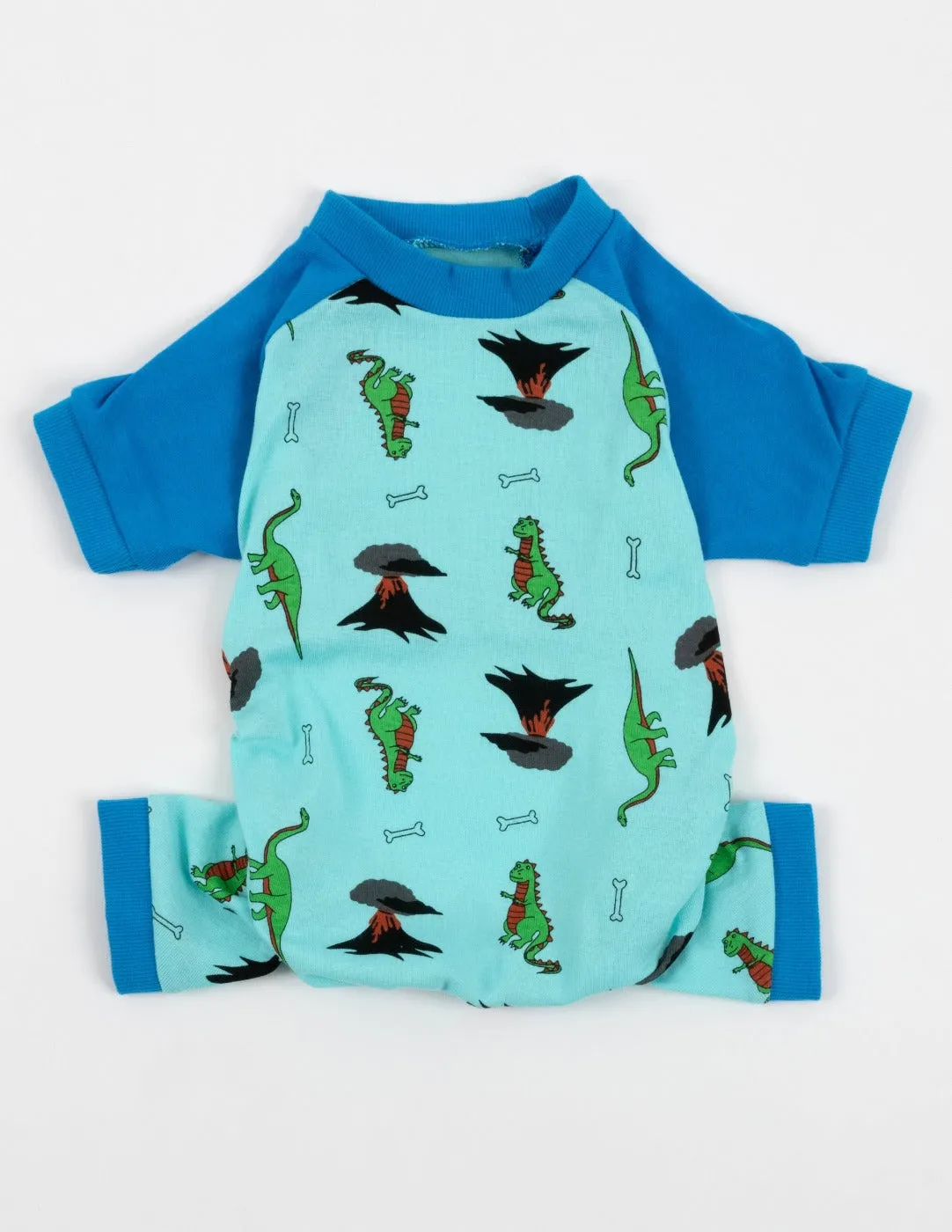 Dog Blue Dinosaur Pajamas